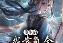 重生后,我靠氪金云养未来女帝无弹窗沈云最新章节列表-维C文学