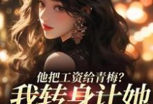 他把工资给青梅?我转身让她写欠条免费阅读(禾念安江予川)小说免费读最新章节-维C文学