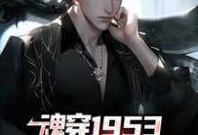 魂穿1953:我在岛国当渔民(主角藤原秀泽)完结版免费阅读-维C文学