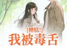 主人公是迟笙沈京洲的小说糟糕！我被毒舌霸总缠上了免费阅读-维C文学
