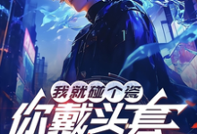 陆泽赵勇小说免费阅读最新章节列表,我就碰个瓷,你戴头套什么意思?小说在线看-维C文学