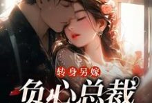 求助这本转身另嫁，负心总裁哭红了眼小说在哪里可以看完结版-维C文学