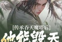 传承吞天魔塔后,他能毁天灭地!最新章节传承吞天魔塔后,他能毁天灭地!在线阅读-维C文学