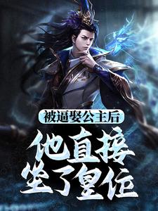 主角是王修苏晚晴的小说被逼娶公主后，他直接坐了皇位在哪免费看