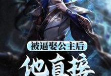 求助这本被逼娶公主后,他直接坐了皇位小说在哪里可以看完结版-维C文学