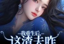 我重生后，这渣夫咋还换人格了（林菀宁）最新章节免费在线阅读-维C文学