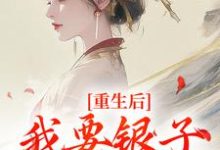 云清絮玄翼小说免费阅读最新章节列表，重生后，我要银子不要男人！小说在线看-维C文学