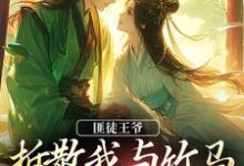 匪徒王爷拆散我与竹马,逼我嫁他!热门小说(楼晚棠裴肆瑾)在线阅读无弹窗-维C文学