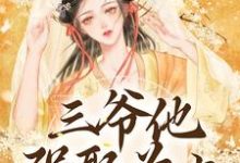 三爷他强娶为上（林知意）最新章节免费阅读-维C文学