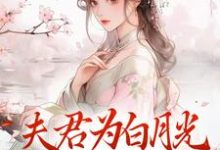 完结版夫君为白月光守身如玉?我成全!在哪免费看,宋絮晚季墨阳小说在线阅读-维C文学