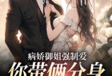 病娇御姐强制爱，你带俩分身过分了热门小说(江辞)在线阅读无弹窗-维C文学