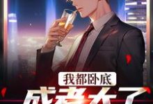 我都卧底成老大了，还不收网？无弹窗陆乘风周翰林最新章节列表-维C文学