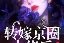 求助这本转嫁京圈大佬后,前任悔不当初小说在哪里可以看完结版-维C文学