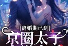 主人公是沈青瓷席星野的小说离婚期已到!京圈太子卑微求爱免费阅读-维C文学