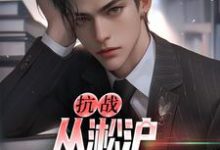精彩章节阅读抗战:从淞沪保卫战开始(叶青山)免费小说在线看-维C文学
