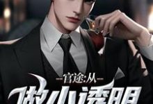 小说官途:从做小透明开始主角何涛免费阅读-维C文学