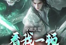 求助这本穿越洪荒：看我一顿骚操作小说在哪里可以看完结版-维C文学