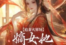 小说追妻火葬场:嫡女她又狠又疯主角江惜颜萧玄胤免费阅读-维C文学