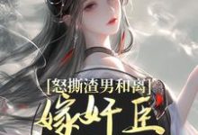 怒撕渣男和离，嫁奸臣高攀不起最新章节怒撕渣男和离，嫁奸臣高攀不起在线阅读-维C文学