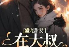 安姩盛怀安小说的结局在哪可以看,盛宠甜妻:在大叔怀里沦陷免费阅读完结版-维C文学