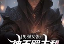 男强女强：神王殿主和女特工闪婚了（林晨叶寒霜）最新章节在线阅读-维C文学