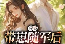 完结版穿书:带崽随军后我被宠上天在哪免费看,沈淮初陆云琛小说在线阅读-维C文学