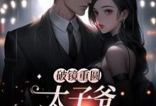 主人公是黎念靳宴深的小说破镜重圆:太子爷他太霸道免费阅读-维C文学