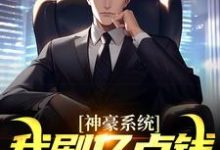 求助这本神豪系统：我刷亿点钱不过分吧？小说在哪里可以看完结版-维C文学