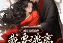 重回新婚夜,我要逃离美强惨权臣!免费阅读(姜晚陆知珩)小说免费读最新章节-维C文学