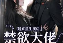 娇娇重生摆烂,禁欲大佬不愿意了热门小说(沈清芙傅靳舟)在线阅读无弹窗-维C文学