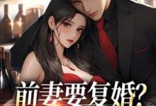 赵青峰白晓星小说前妻复婚让她跪着滚无弹窗赵青峰白晓星最新章节列表-维C文学