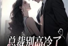 小说总裁别高冷了,夫人离家出走了(林乔谢之南)最新章节在哪看-维C文学