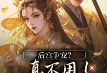 后宫争宠?真不用!我撒个娇的事完结版温梨儿晏时叙免费阅读大结局-维C文学