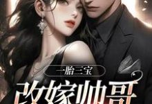 跪求主角是林清月傅行舟的小说书名叫什么-维C文学