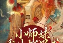 小师妹重生撕黑莲,炸翻宗门精彩章节阅读(凤锦许墨)免费阅读大结局-维C文学