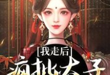 沈南枝萧迟最新章节列表我走后,疯批太子彻底癫了免费阅读-维C文学