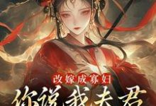 改嫁成寡妇,你说我夫君又复活了?最新章节改嫁成寡妇,你说我夫君又复活了?在线阅读-维C文学