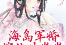 海岛军婚:嫁他生崽崽完结版沈竹霍锦之免费阅读大结局-维C文学