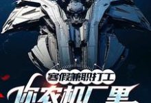 寒假兼职打工,你农机厂里开出空天航母?热门小说(季成)在线阅读无弹窗-维C文学