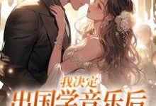 我决定出国学音乐后,大律师后悔了(宋棉贺淮川)最新章节免费在线阅读-维C文学