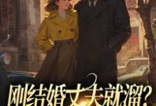 刚结婚丈夫就溜?姐真不吃人!在线看,丁遥香陆舰小说大结局在哪免费看-维C文学