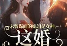 未曾谋面的媳妇是女神,这婚不离了(顾衍掣盛知夏)最新章节在线阅读-维C文学
