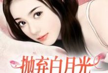 精彩章节阅读抛弃白月光,我爱上了童养媳(柯望巷钟昭)免费小说在线看-维C文学