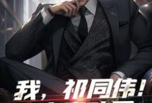 我，祁同伟！这次真改了完结版祁同伟免费阅读大结局-维C文学