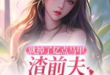 就掉了亿点马甲，渣前夫哭着求复婚热门小说(楚骁寒叶幻竹)在线阅读无弹窗-维C文学