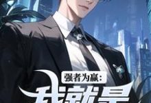 强者为赢:我就是权力中心大结局,赵阳祁同伟小说无广告阅读-维C文学