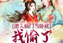 完结版潜入仙门当卧底,我偷了谪仙的心在哪免费看,宋时卿谢寂玉小说在线阅读-维C文学