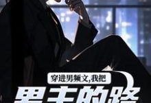 穿进男频文,我把男主的路给堵了!热门小说(陆池苏语念)在线阅读无弹窗-维C文学