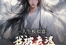 人生模拟器：我被老婆逼成世间极境无弹窗白棋陈北玄最新章节列表-维C文学