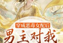 沈清和谢然安小说的结局在哪可以看，穿成恶毒女配后，男主对我情根深种免费阅读完结版-维C文学